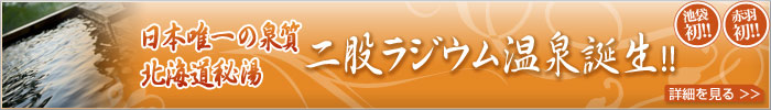 日本唯一の泉質北海道秘湯 二股ラジウム温泉誕生!!